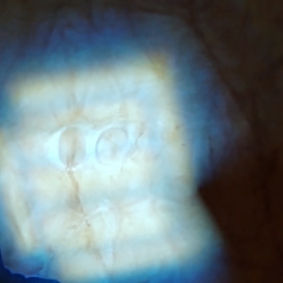 Meet your Posher, Ron - Picture 1 of 1